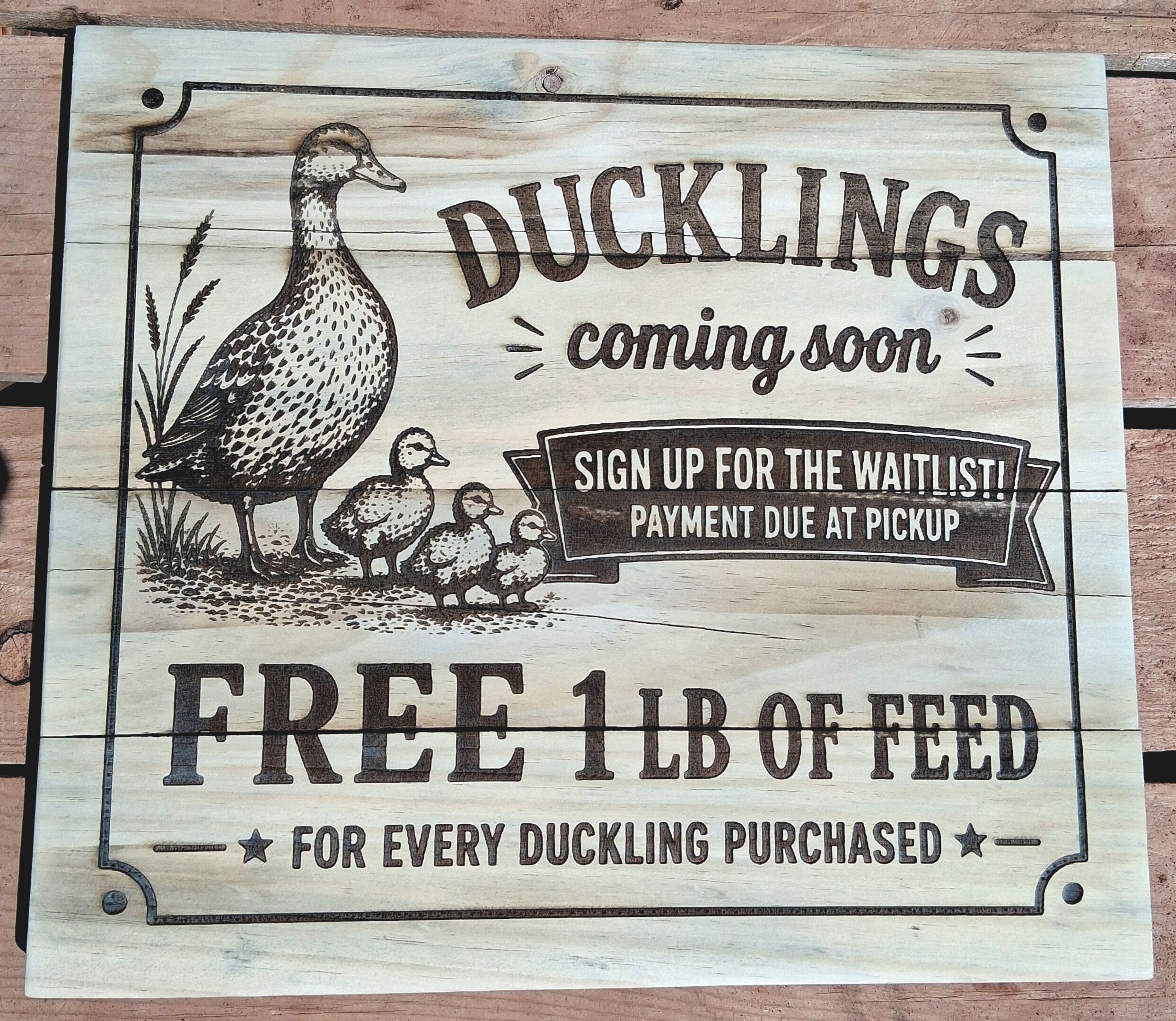 Ducklings Waitlist Sign